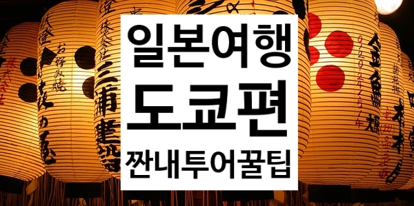 파핀투어 이미지
