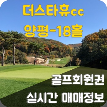 디에프디인터내셔날 이미지