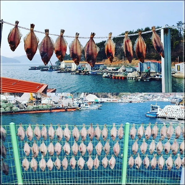 두꺼비수산 이미지