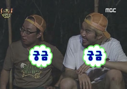 고운빛깔 이미지