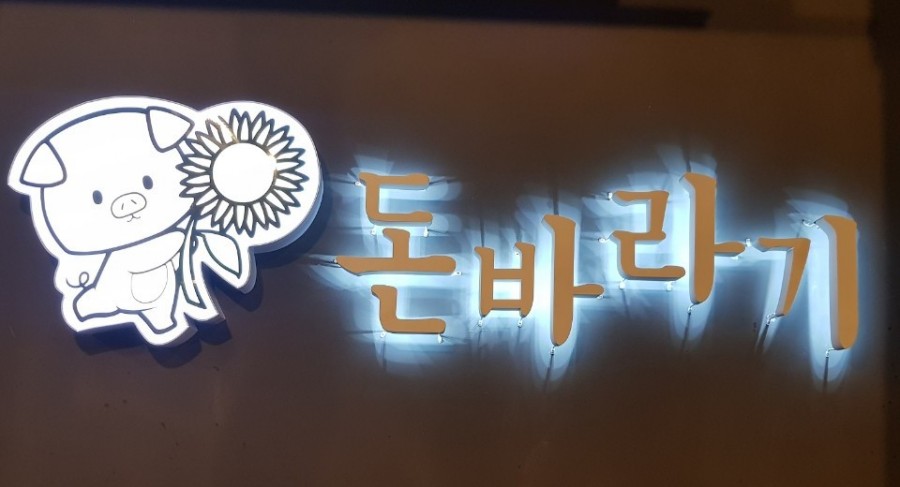 돈바라기 이미지