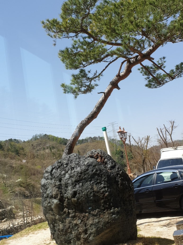 산내들광장 이미지