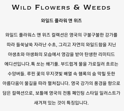 위즈앤 이미지