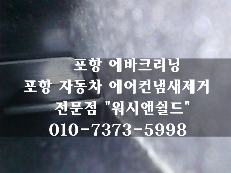 워시앤쉴드 이미지