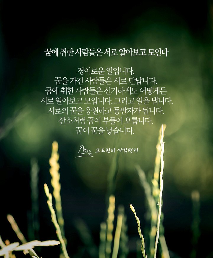 유라시아의 아침 이미지