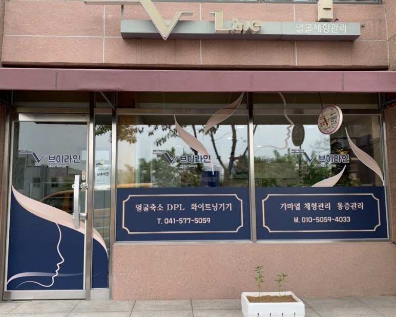 브이라인샵 이미지