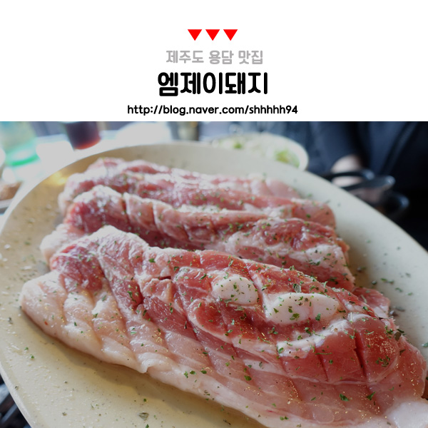 엠제이돼지 이미지