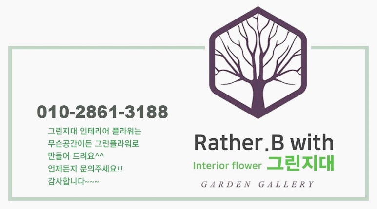영천나무병원 이미지