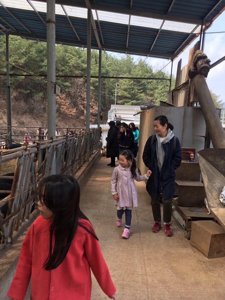 안동흙돼지농장 이미지