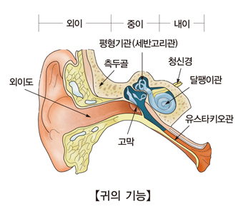 티엠시 이미지