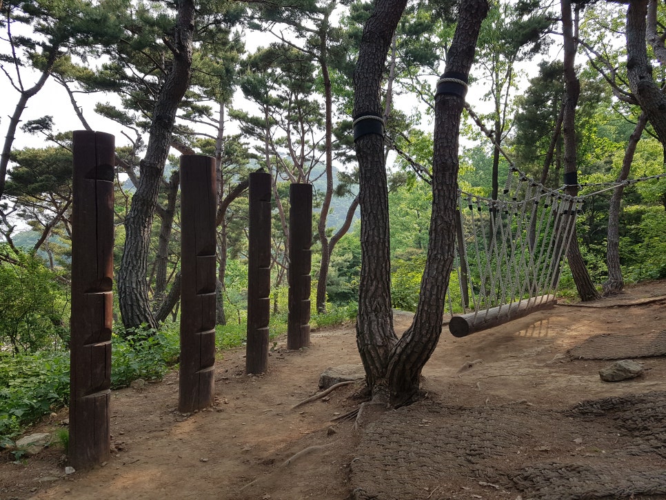 양평 유아숲체험원 이미지