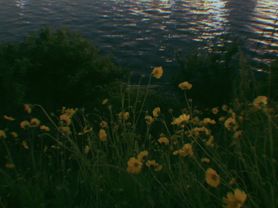 앵콜노래방 이미지