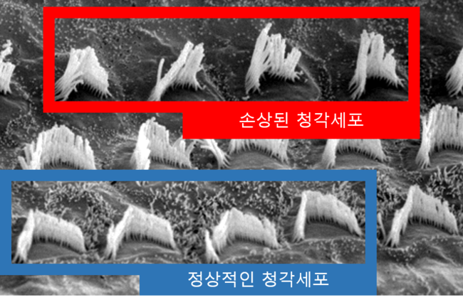 티엠시 이미지