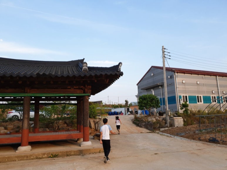 백봉오골계법인 이미지