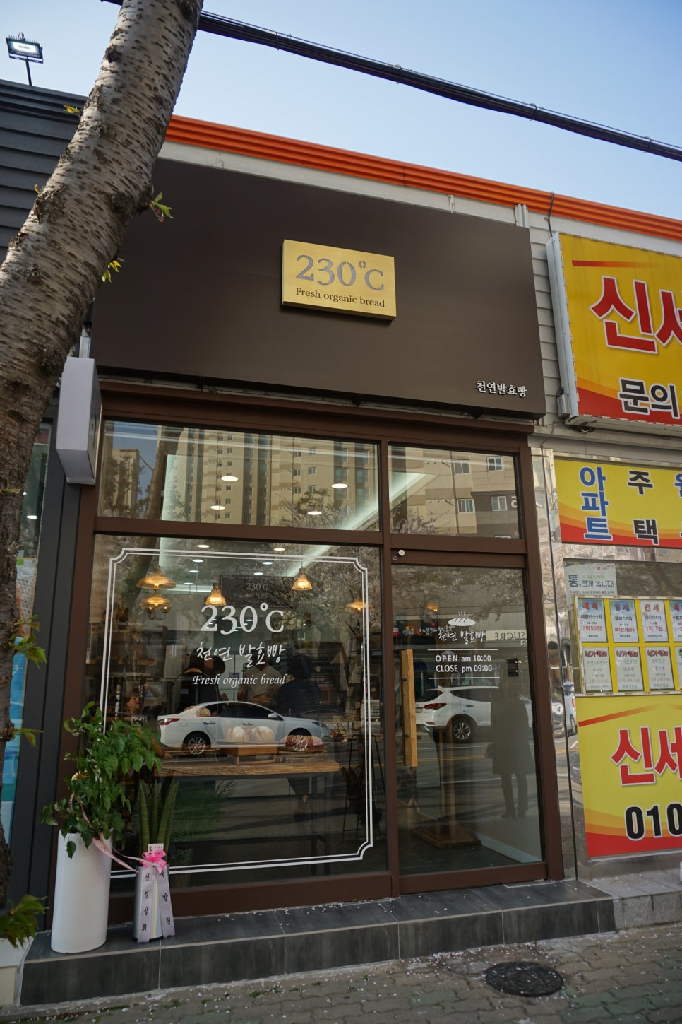 230도씨 이미지