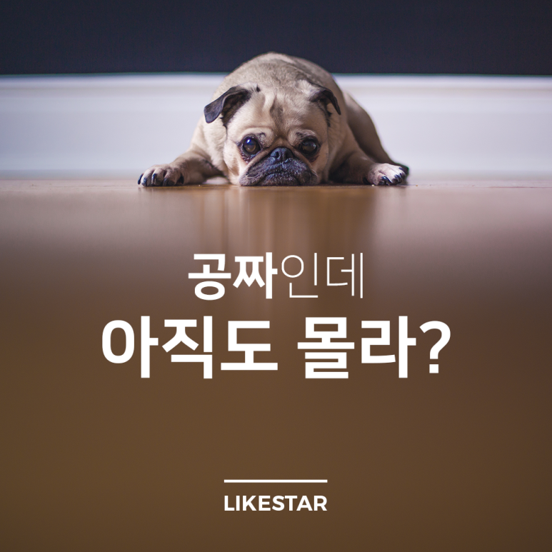 리얼라이크 이미지