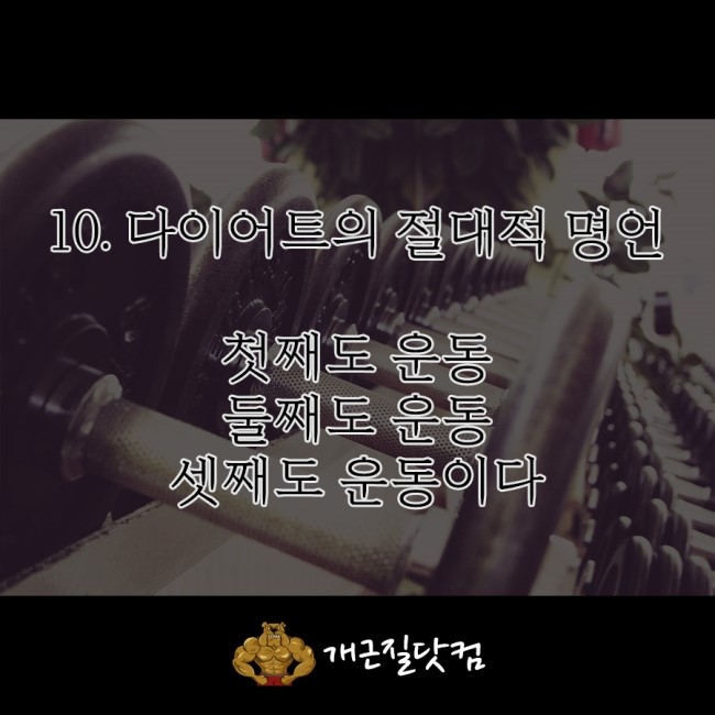 레드핏휘트니스 이미지