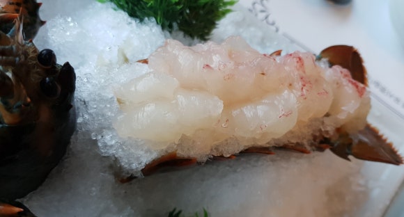 (주)고고킹 이미지