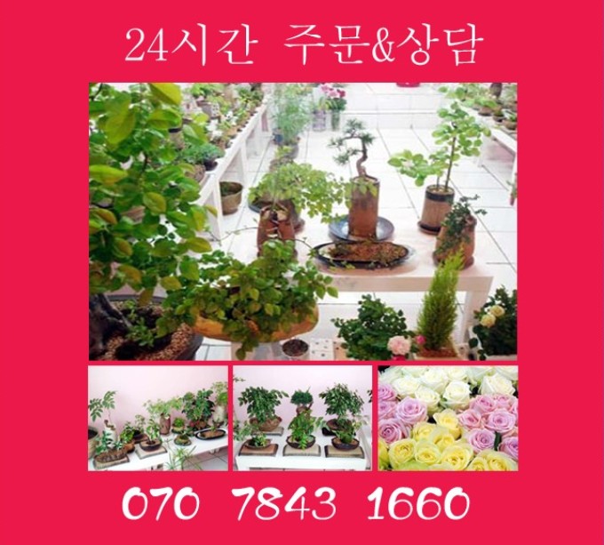 을지대학병원꽃집 이미지