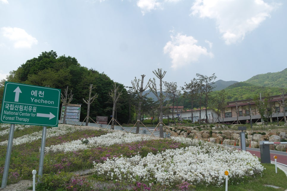 국립산림치유원 이미지