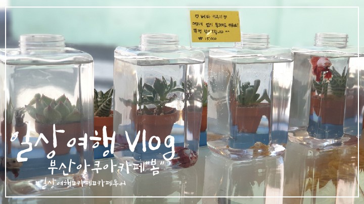 아쿠아카페봄 이미지