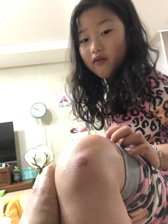 세현충청 이미지