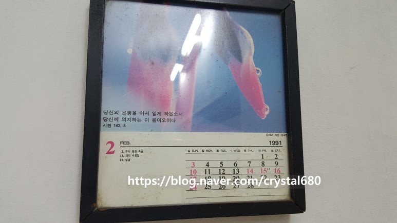 다사랑손칼국수 이미지