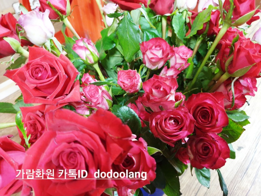 가람꽃화원 이미지