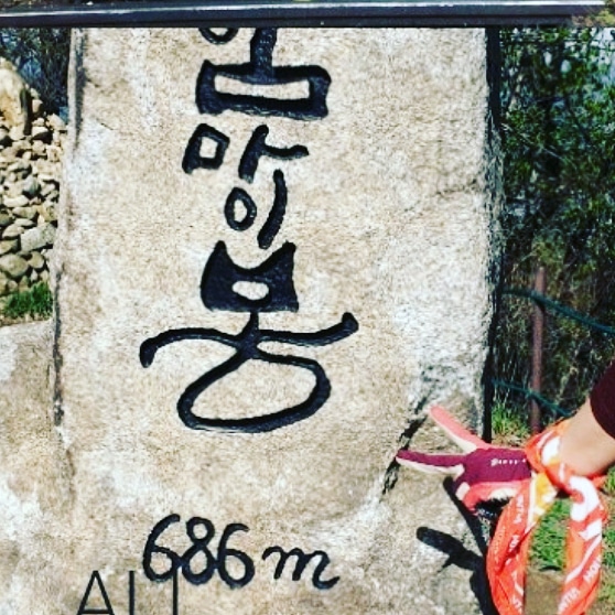 강변흑돼지 이미지