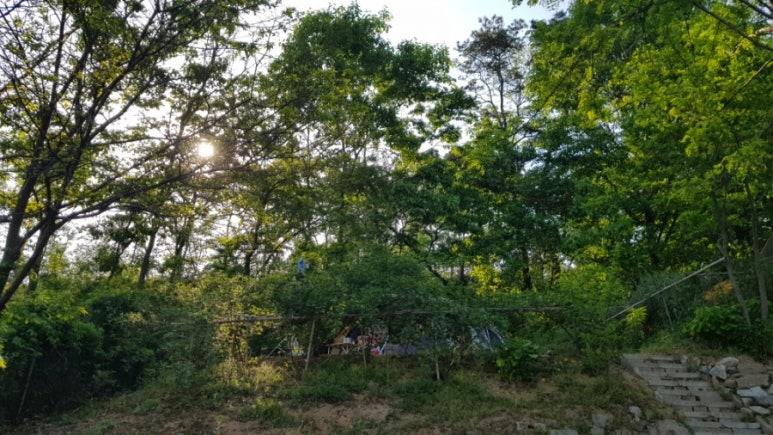 일월관광농원 캠핑장 이미지