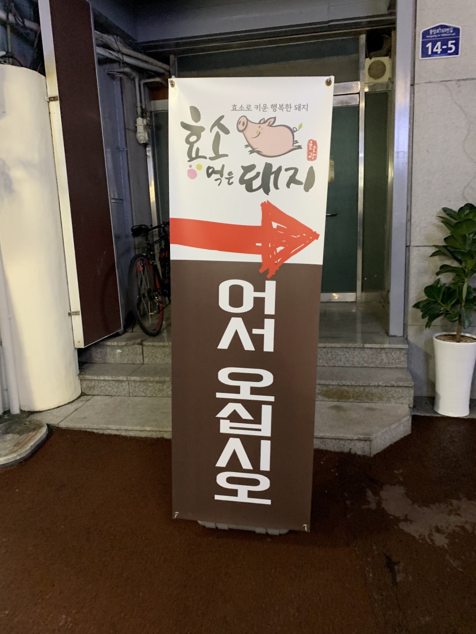 효소먹은돼지 이미지