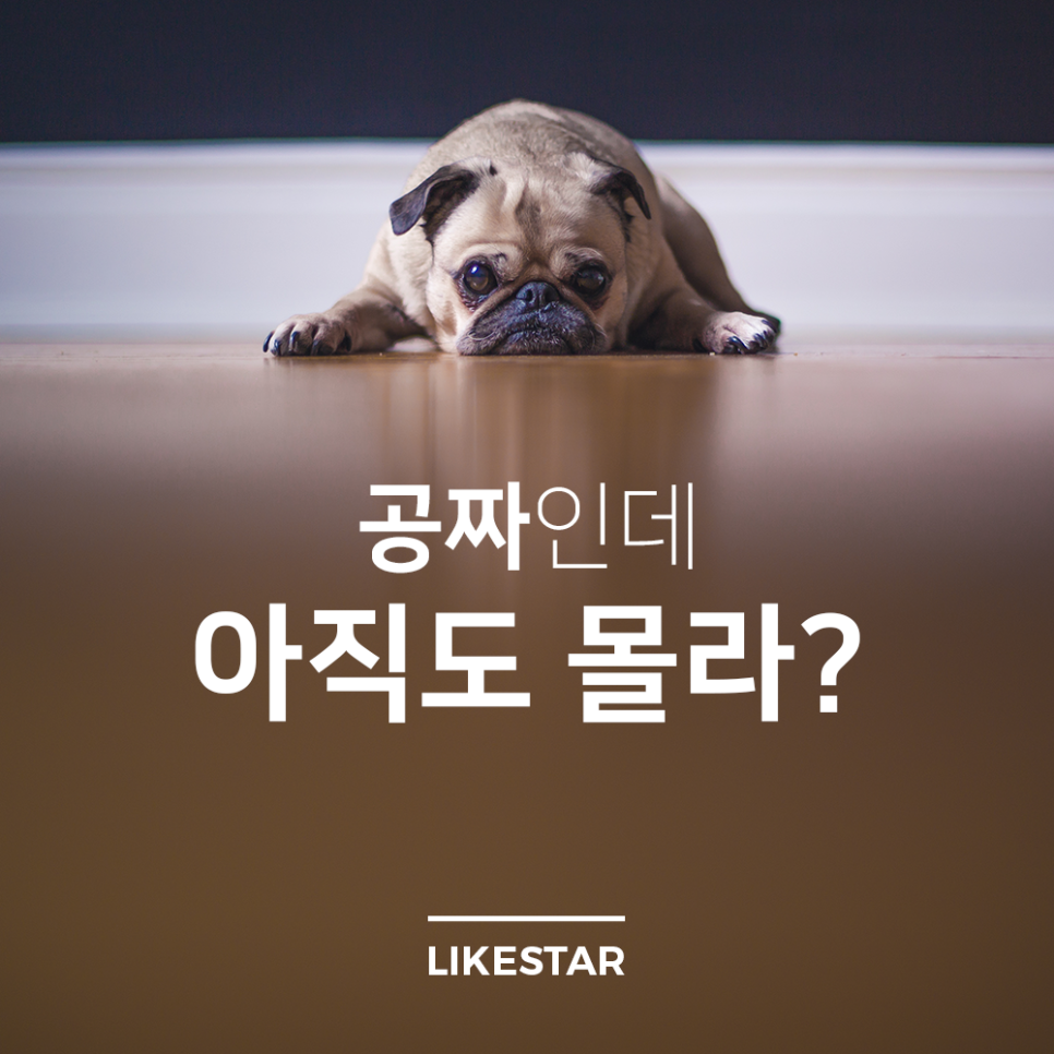 인라이크 이미지