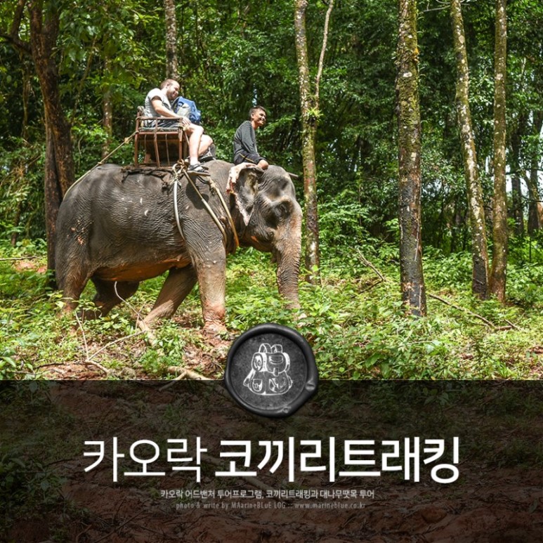 짱투어 이미지
