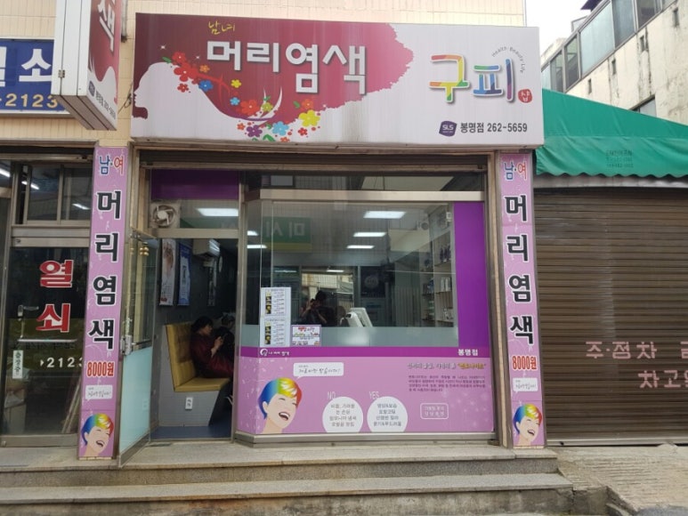 구피염색방 이미지