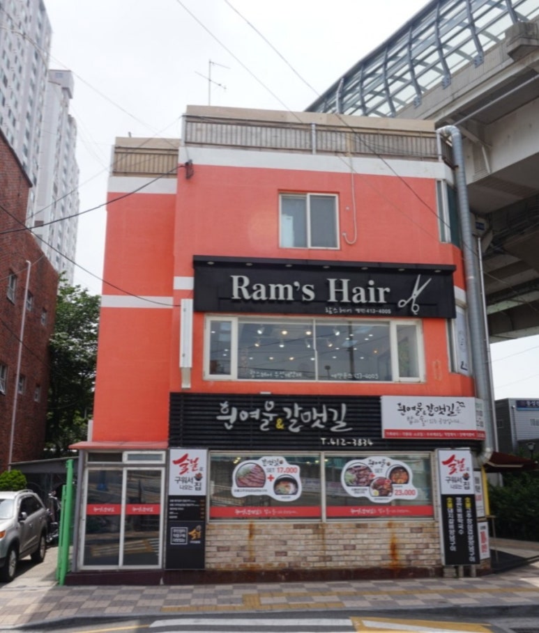람스헤어 이미지