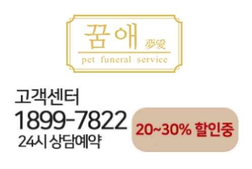 꿈앤진로 이미지
