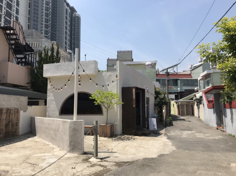 거북이의주방 이미지