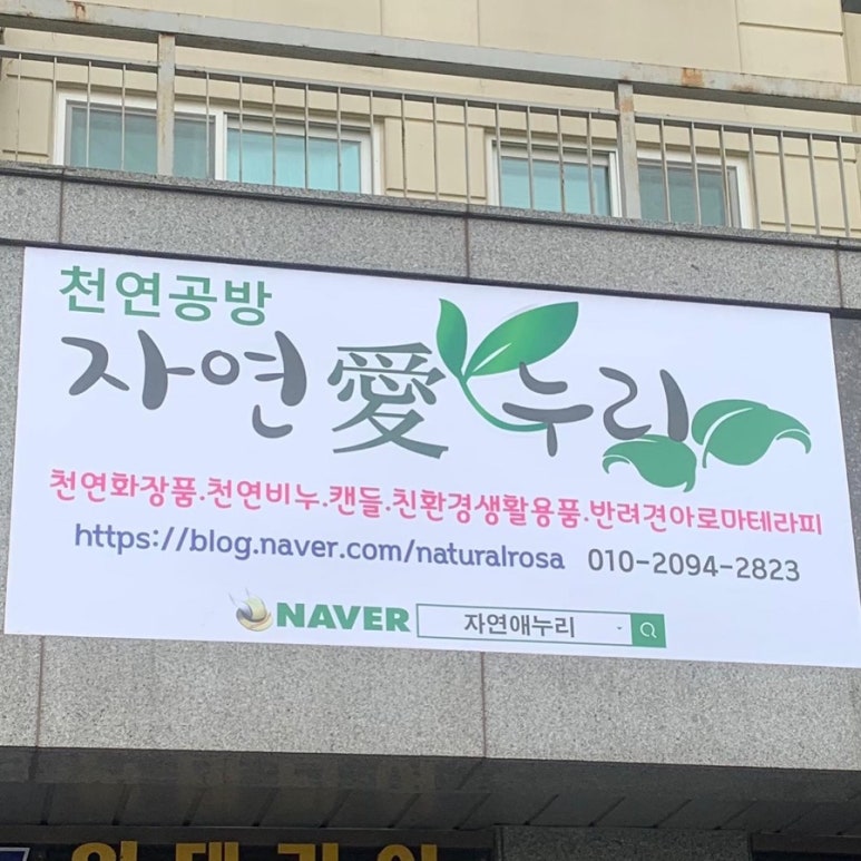 자연애법인 이미지