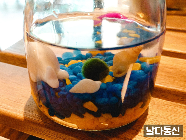 초록색돌고래 이미지
