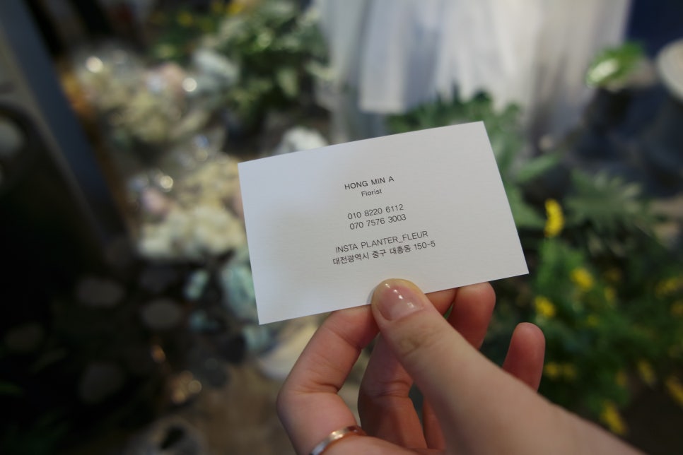 플랑떼플레르 이미지