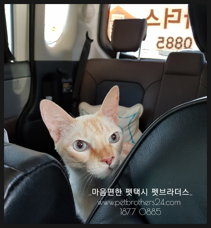 가판창동역점 이미지
