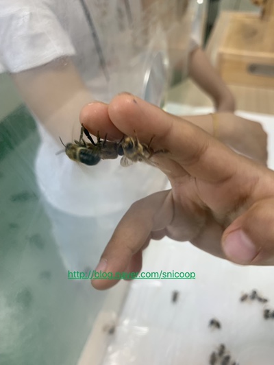 누리영농조합법인 이미지