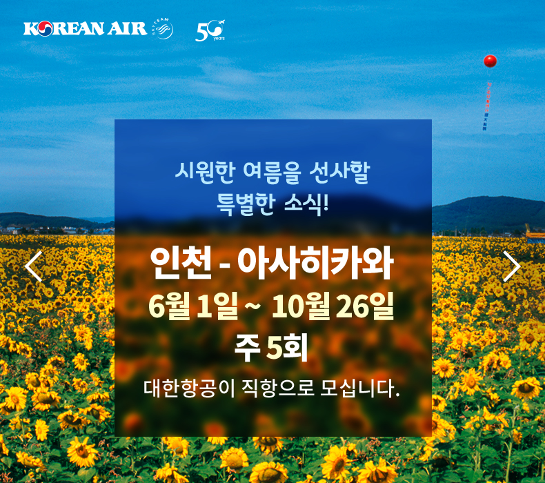 브이탑항공 이미지