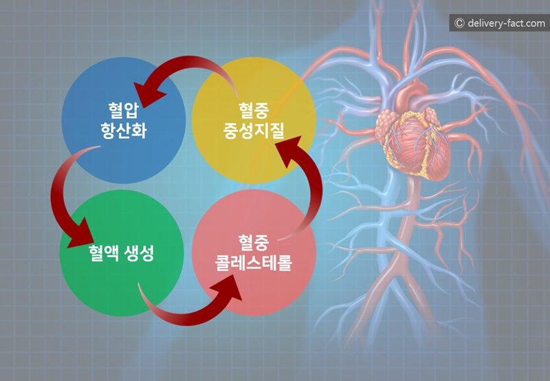 고려종합식품 이미지