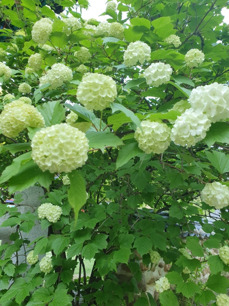 (주)에이치앤컴퍼니 이미지