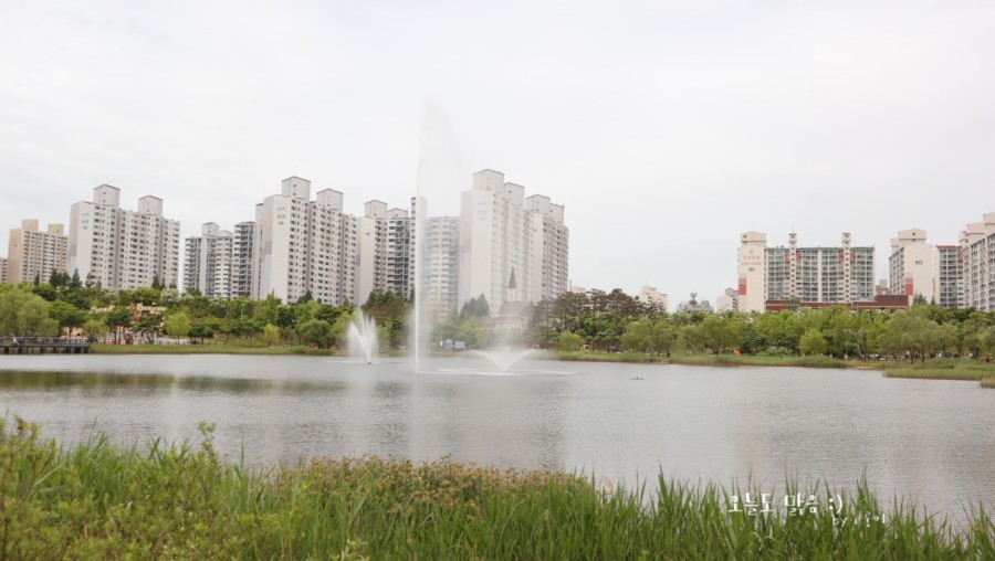 마촌순대국 이미지