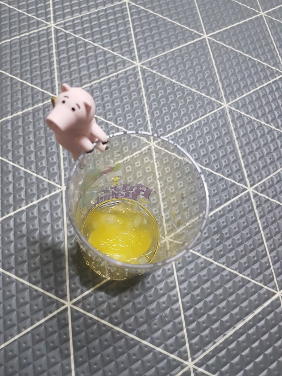 젤리퐁당 이미지