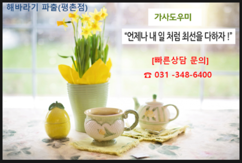 해바라기파출 이미지