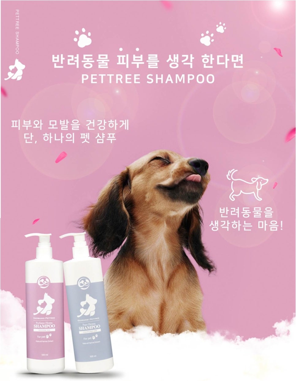 꼬뱅 이미지