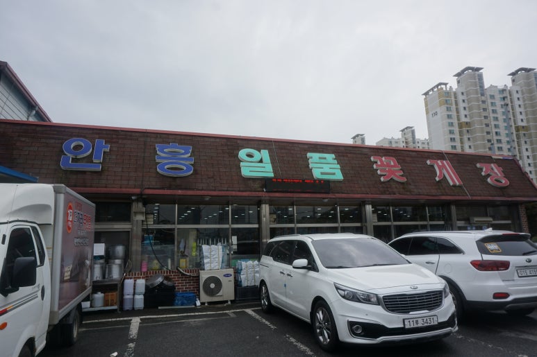 어은돌캠프캠프 이미지